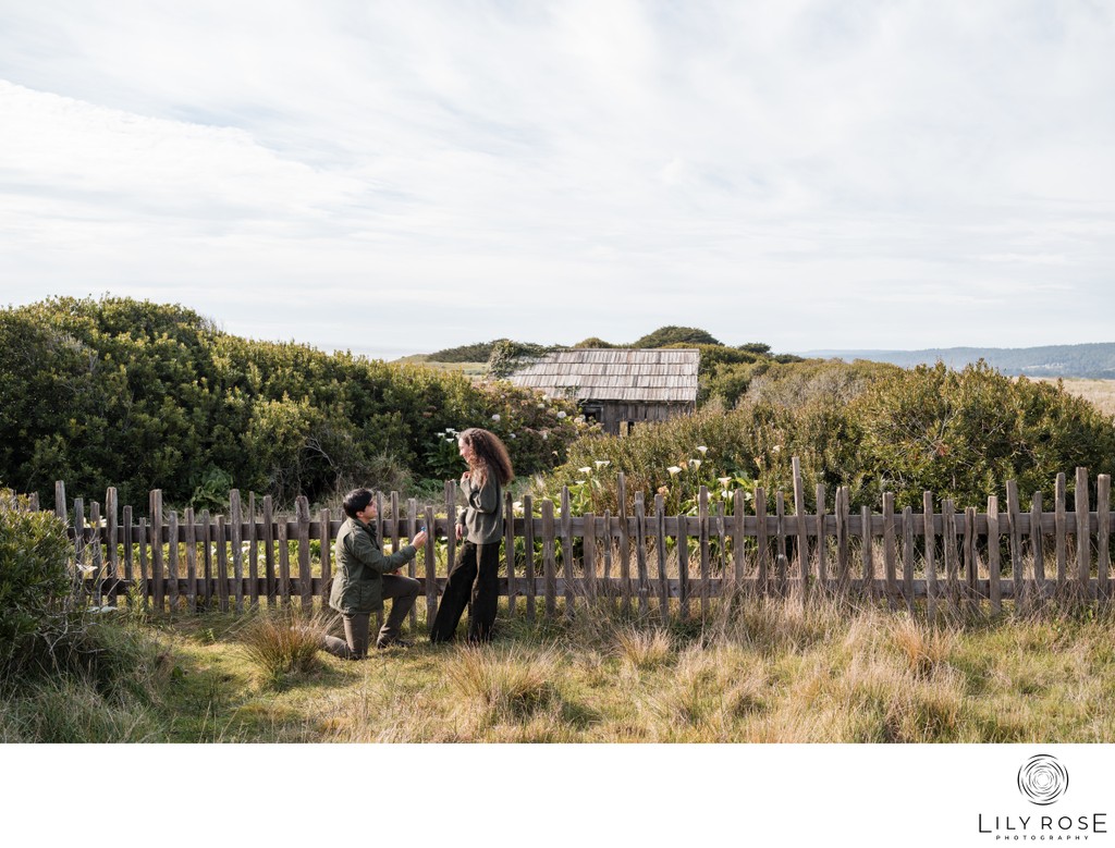 Luxury Sea Ranch Engagement Session