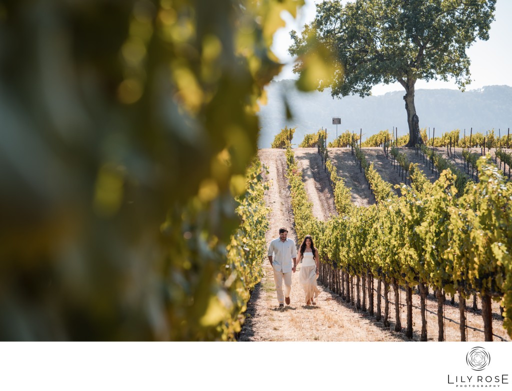 Romantic Engagement Session BR Cohn