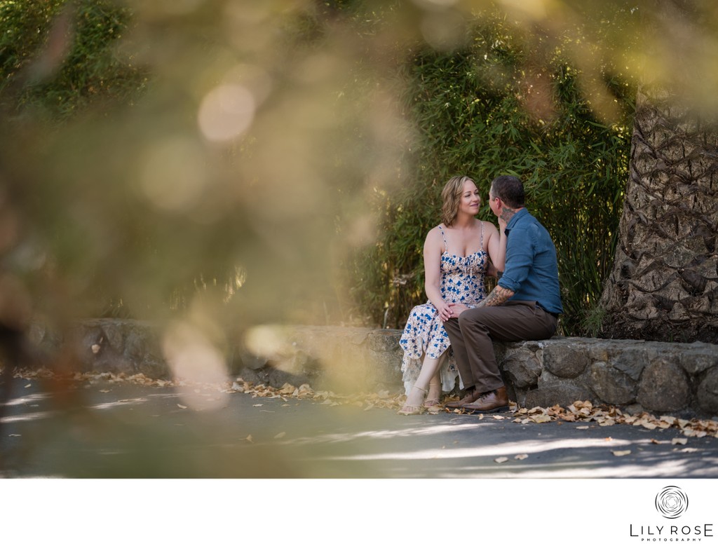Luxury Engagement Photographers Cline Cellars Sonoma