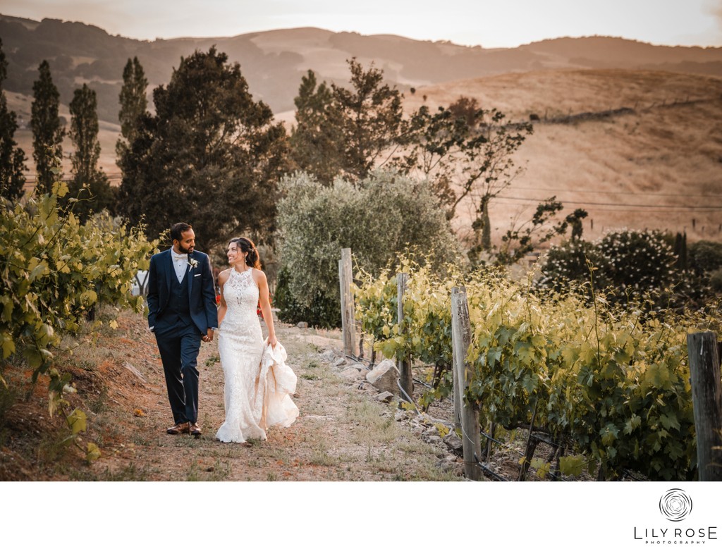 Sunset Viansa Sonoma Wedding Photographers