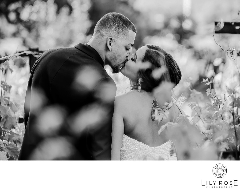 Vineyard Kiss Napa Wedding Photographers