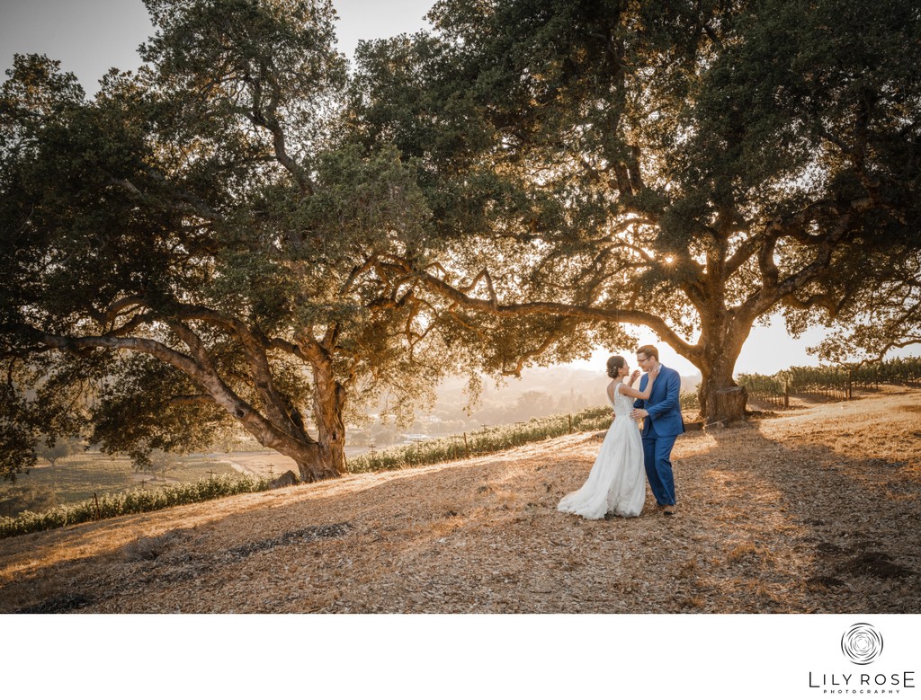 Kunde Winery Wedding Sunset