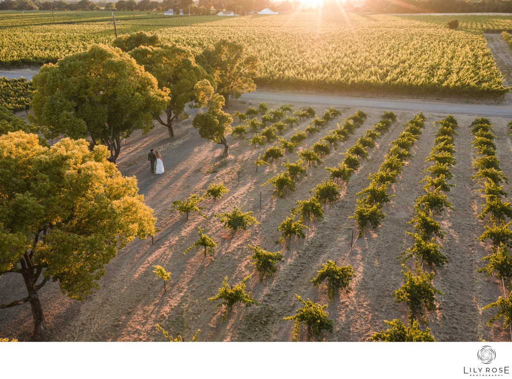 Banshee Winery Napa Wedding Photographers