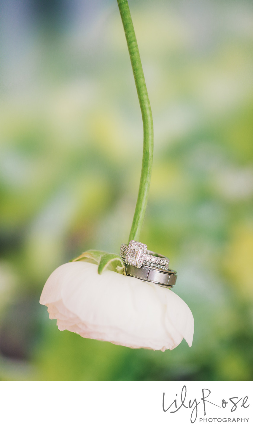 Wedding Photographer for Meritage Resort and Spa