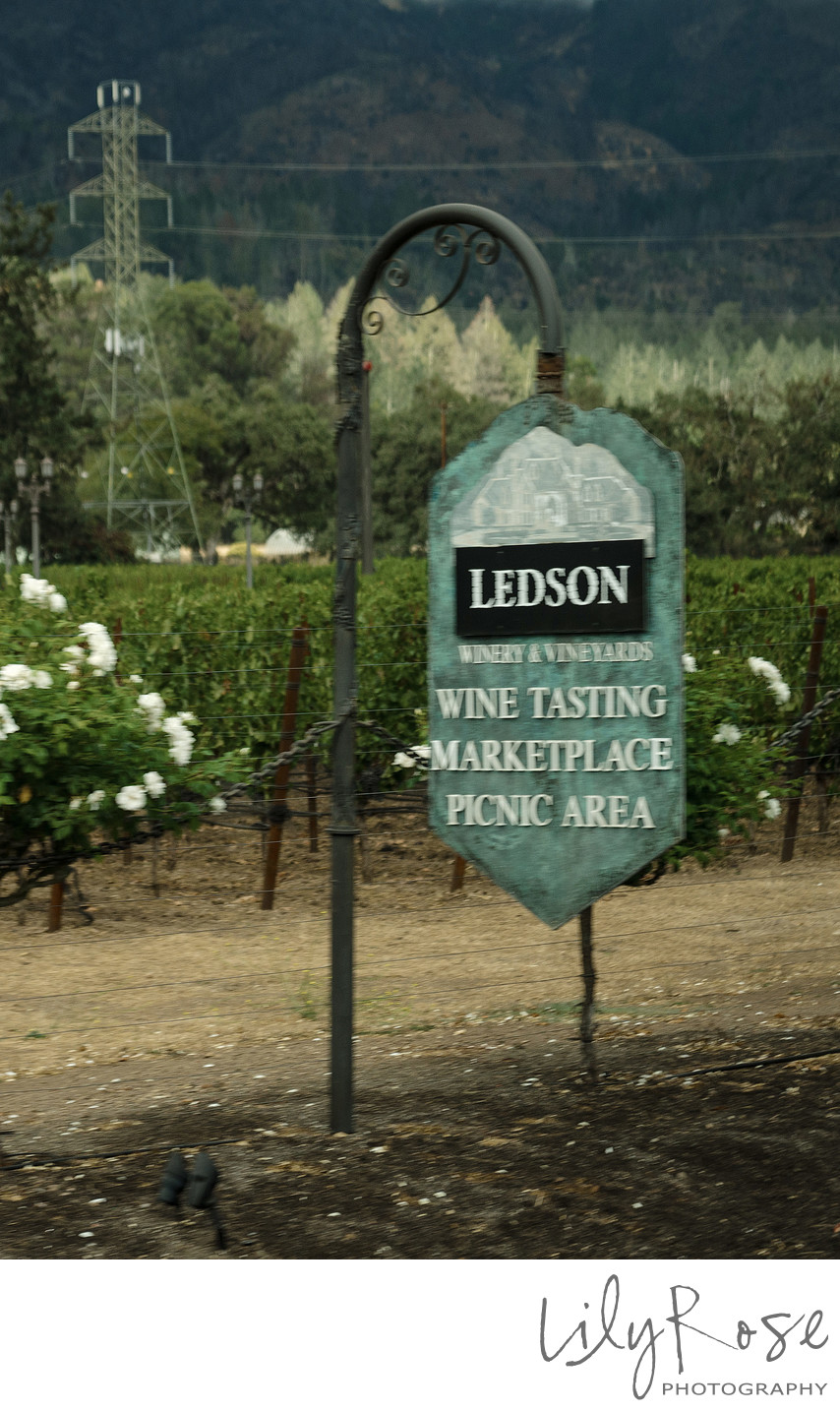Ledson Wedding Site Details