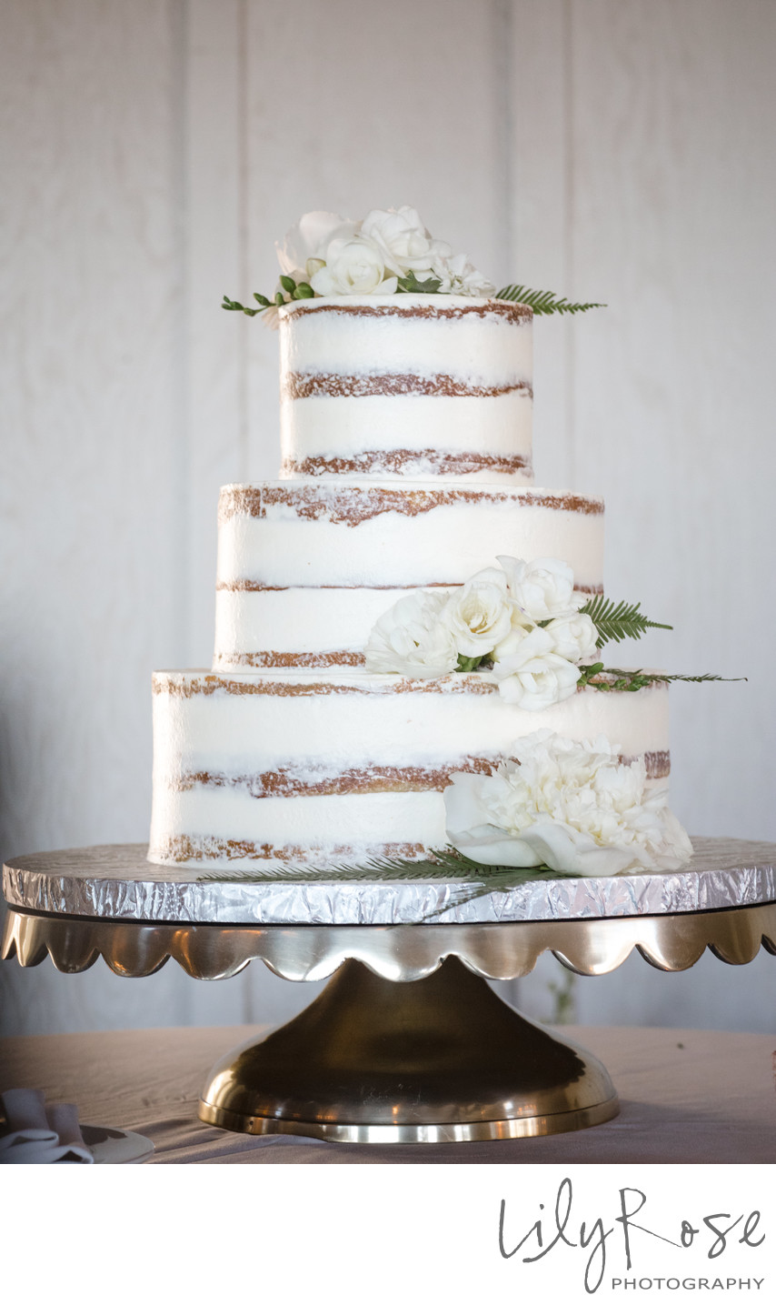 Cake The Barn at Harrow Cellars Sonoma Photographers
