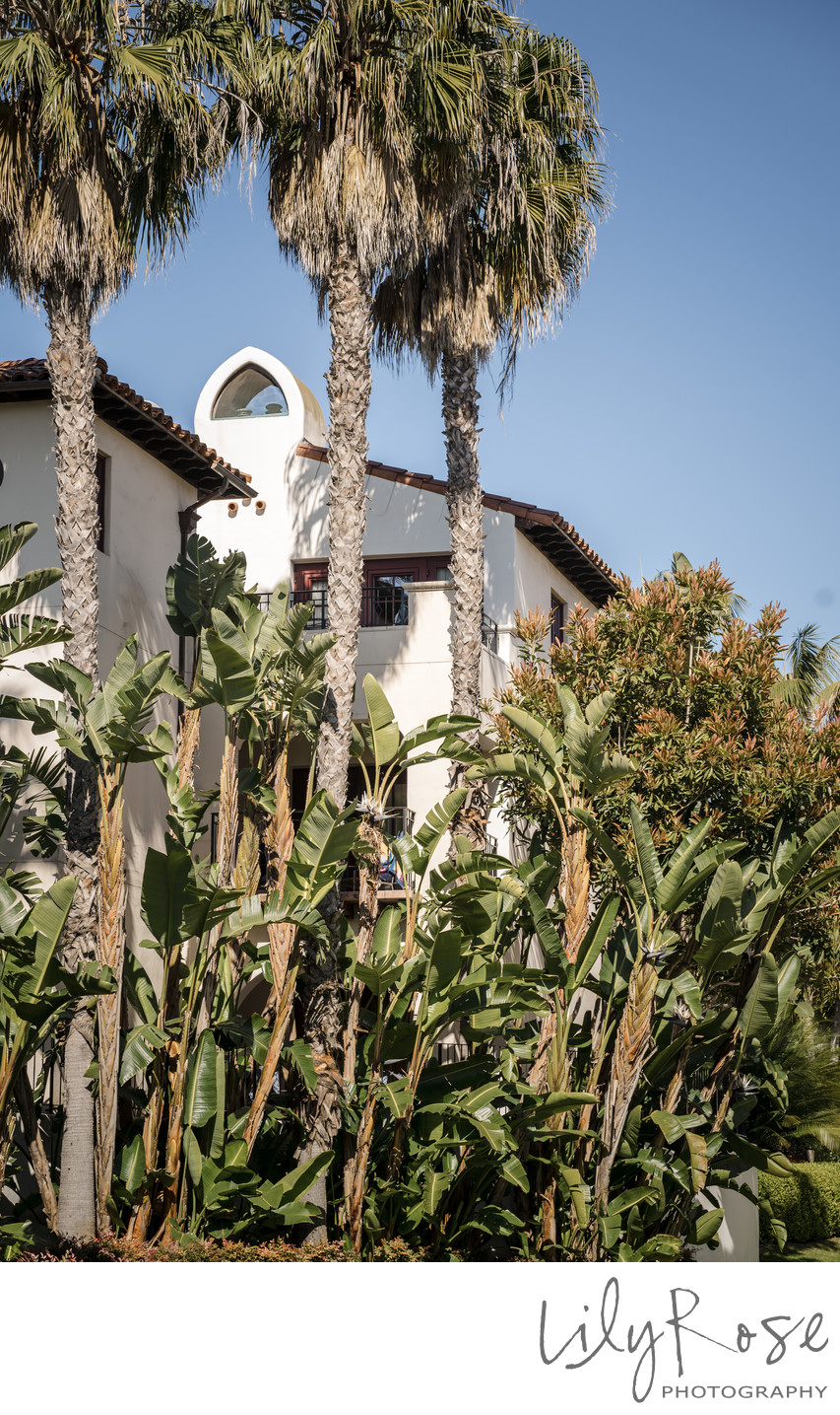 Santa Barbara Bacara Resort Spa Wedding Photography