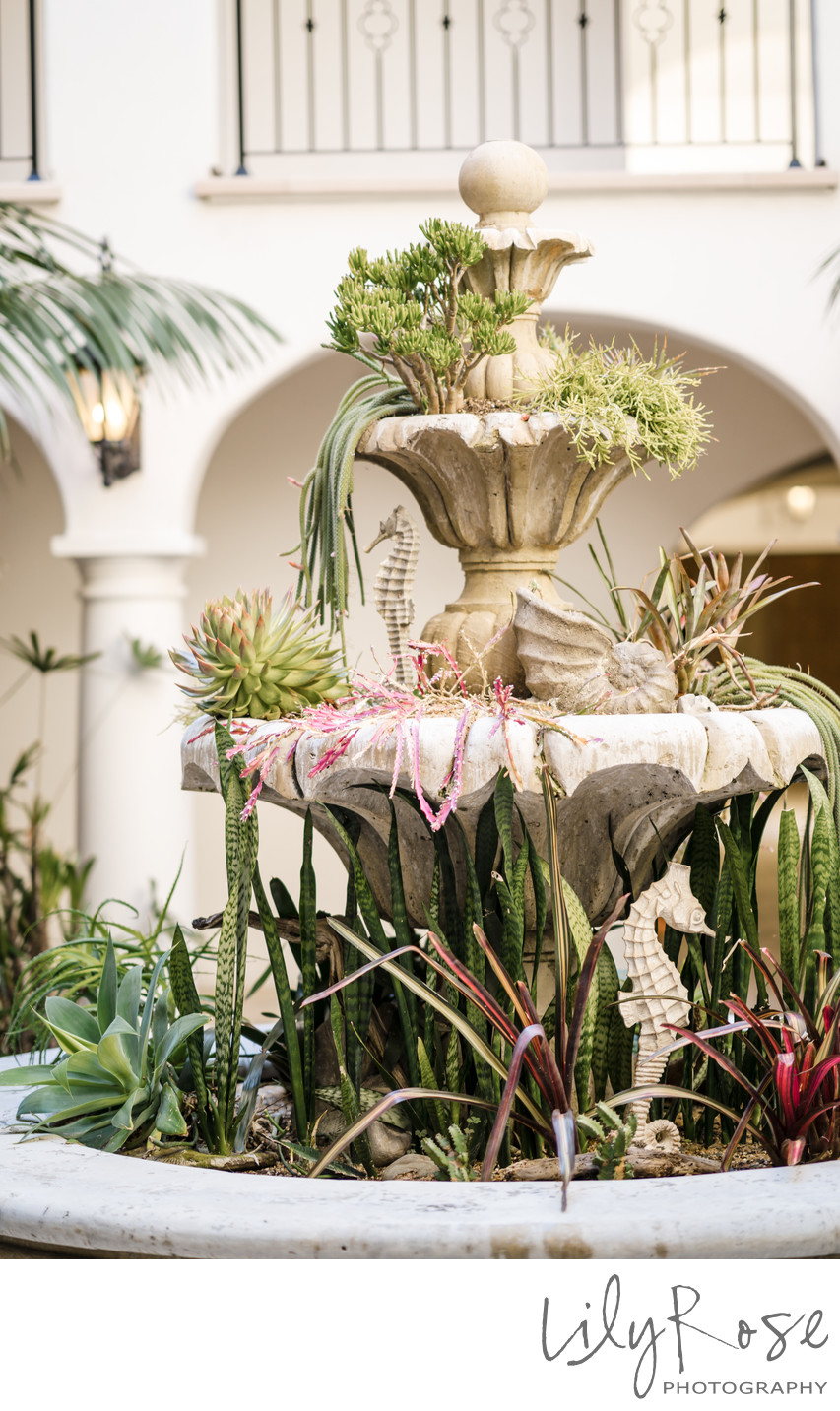 Santa Barbara Bacara Resort Wedding Photographers