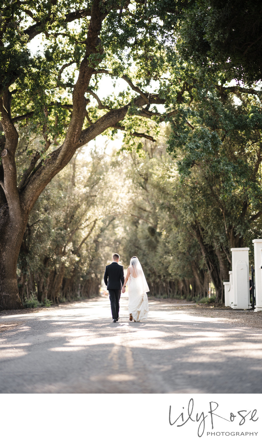 The Maples Wedding Photographers Woodland