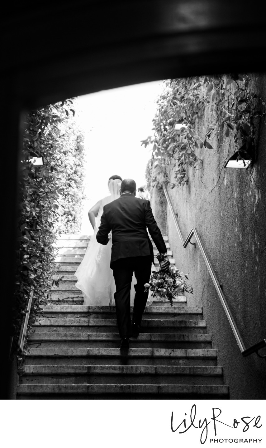Viansa Wedding Photographer