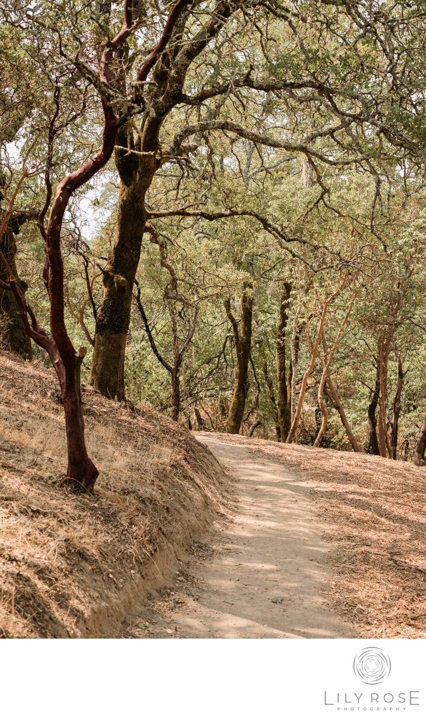 Wedding and Event Photographers Montage Healdsburg