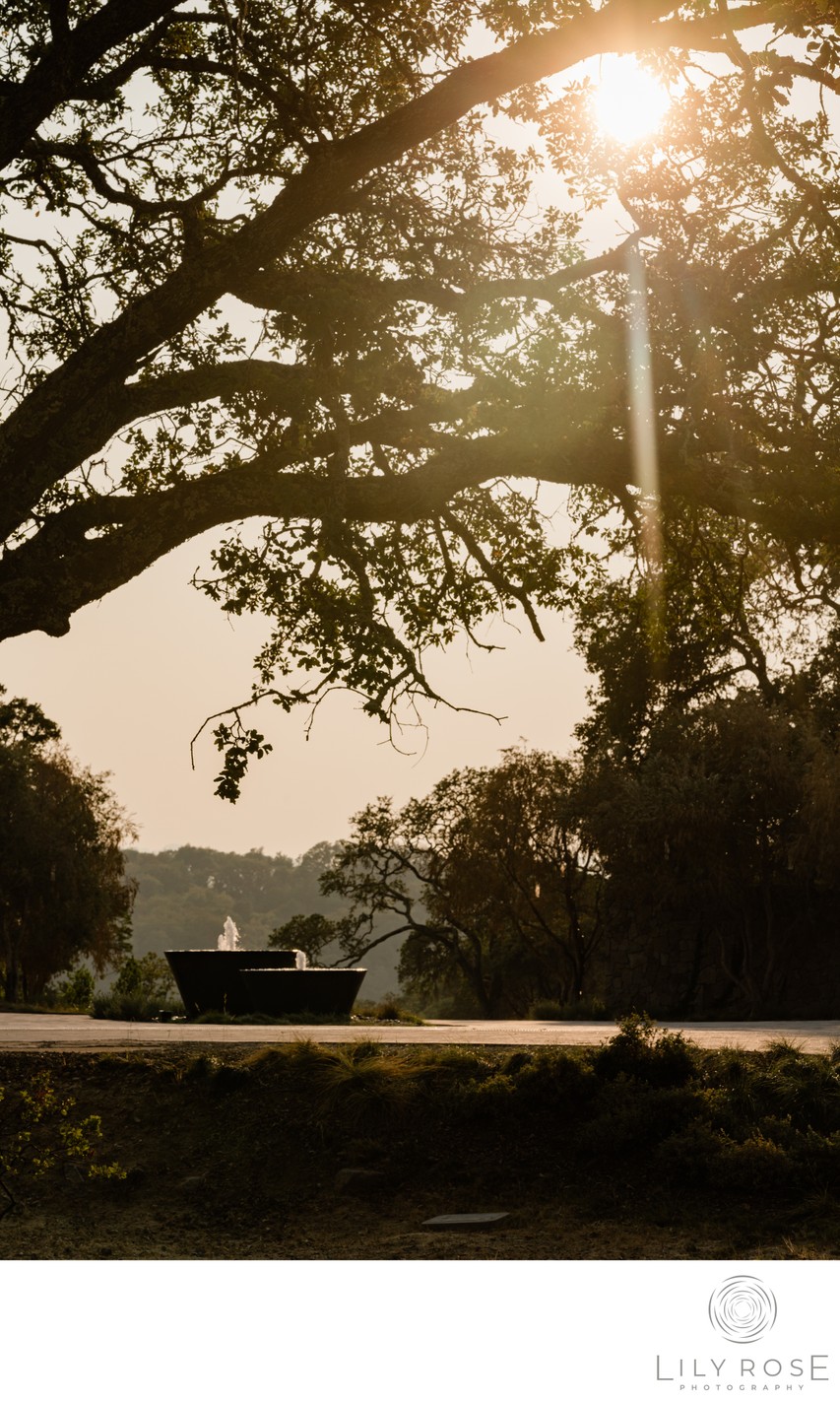 Montage Healdsburg Hotel Wedding Photographers