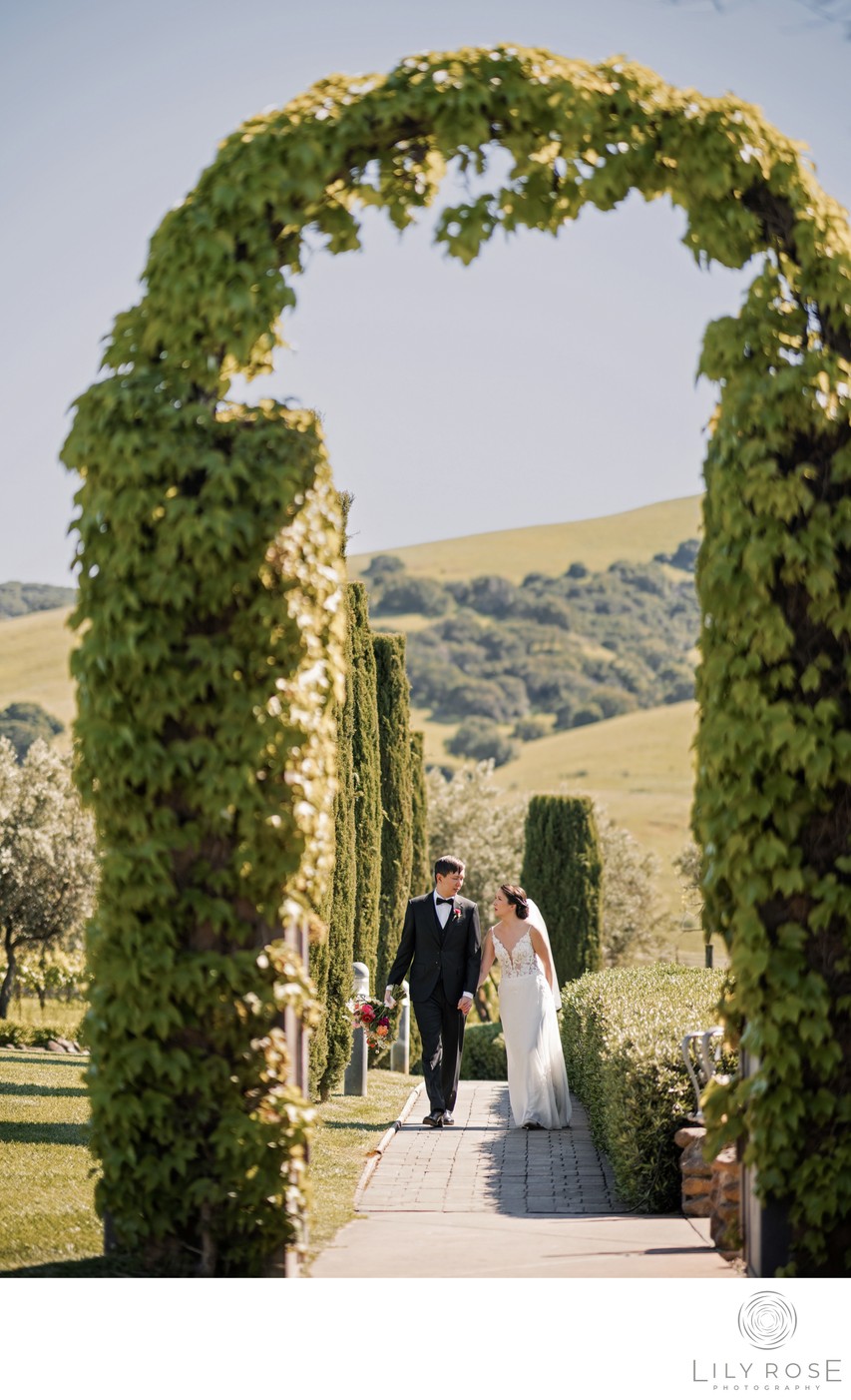 Timeless Viansa Sonoma Wedding Photographer