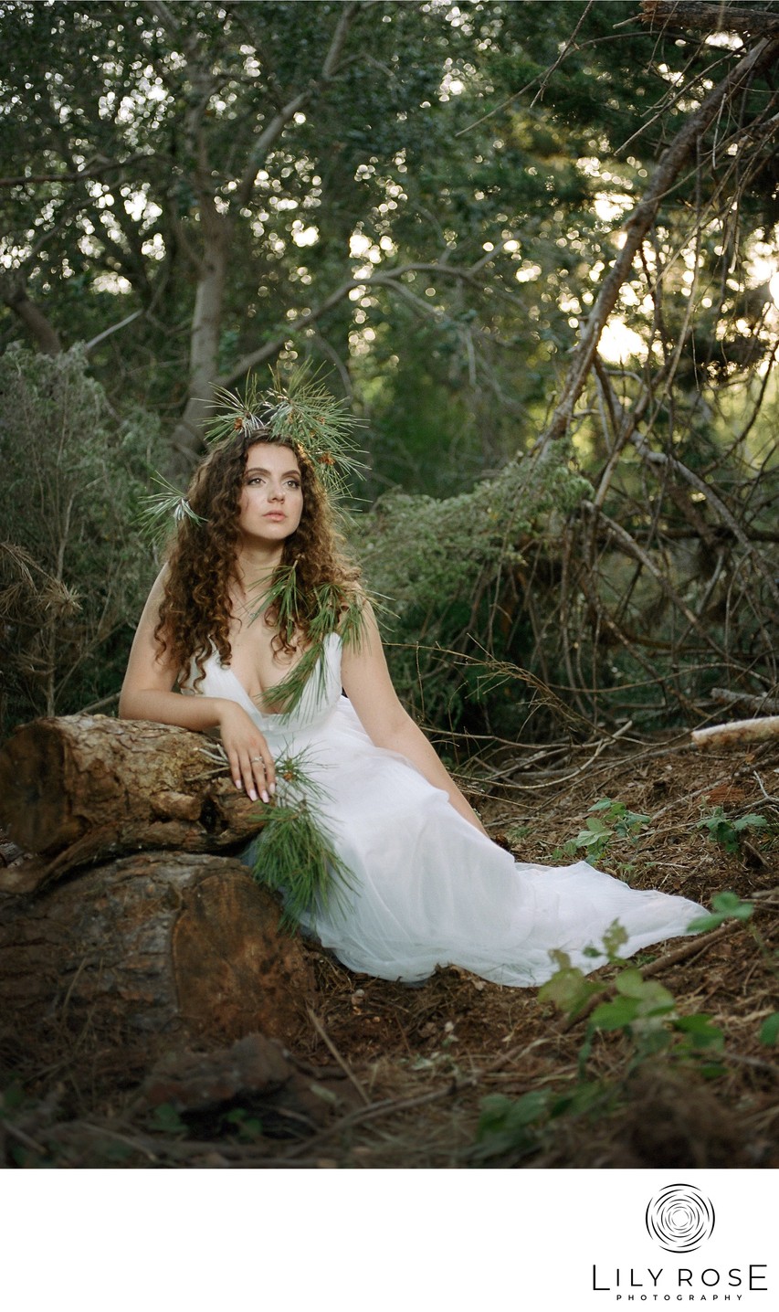 Film Timeless Sonoma Wedding Photographer