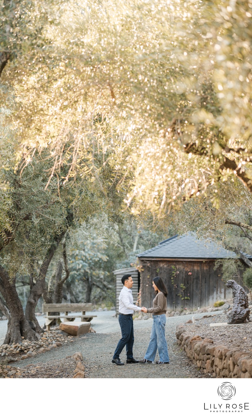 Auberge du Solei Proposal Photographer Napa