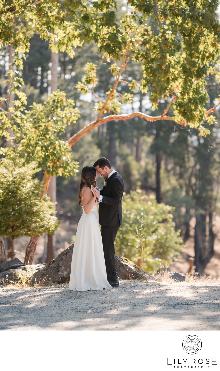 Black Tie Blair Spangler Farmhouse Wedding Photographer