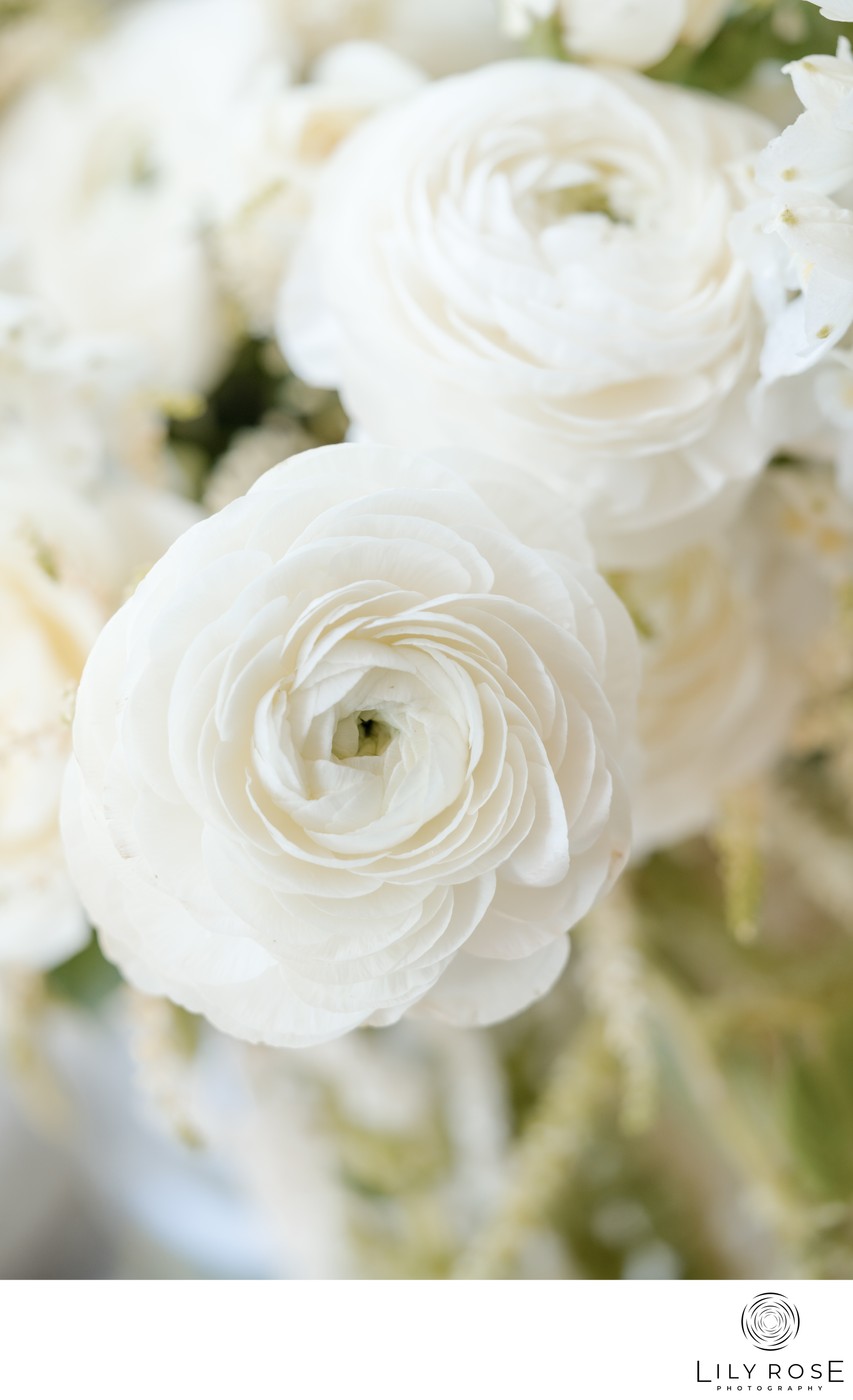 Top Montage Healdsburg Wedding Photographers