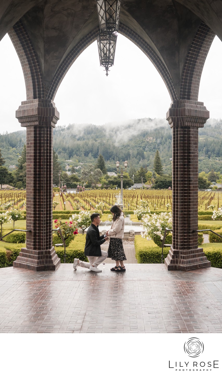 Luxury Engagement Photographer Ledson Winery