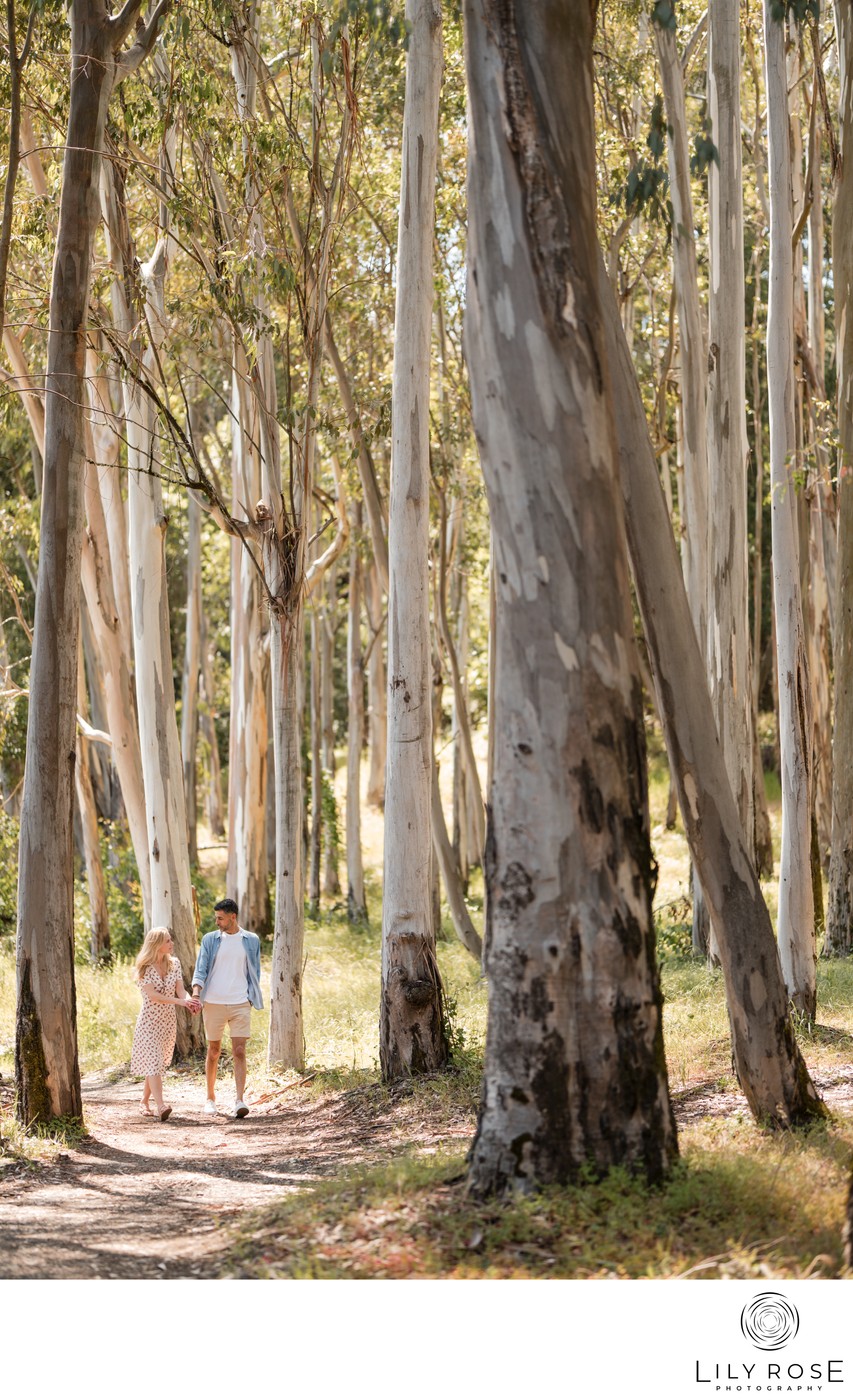 Luxury Engagement Photographer Sonoma