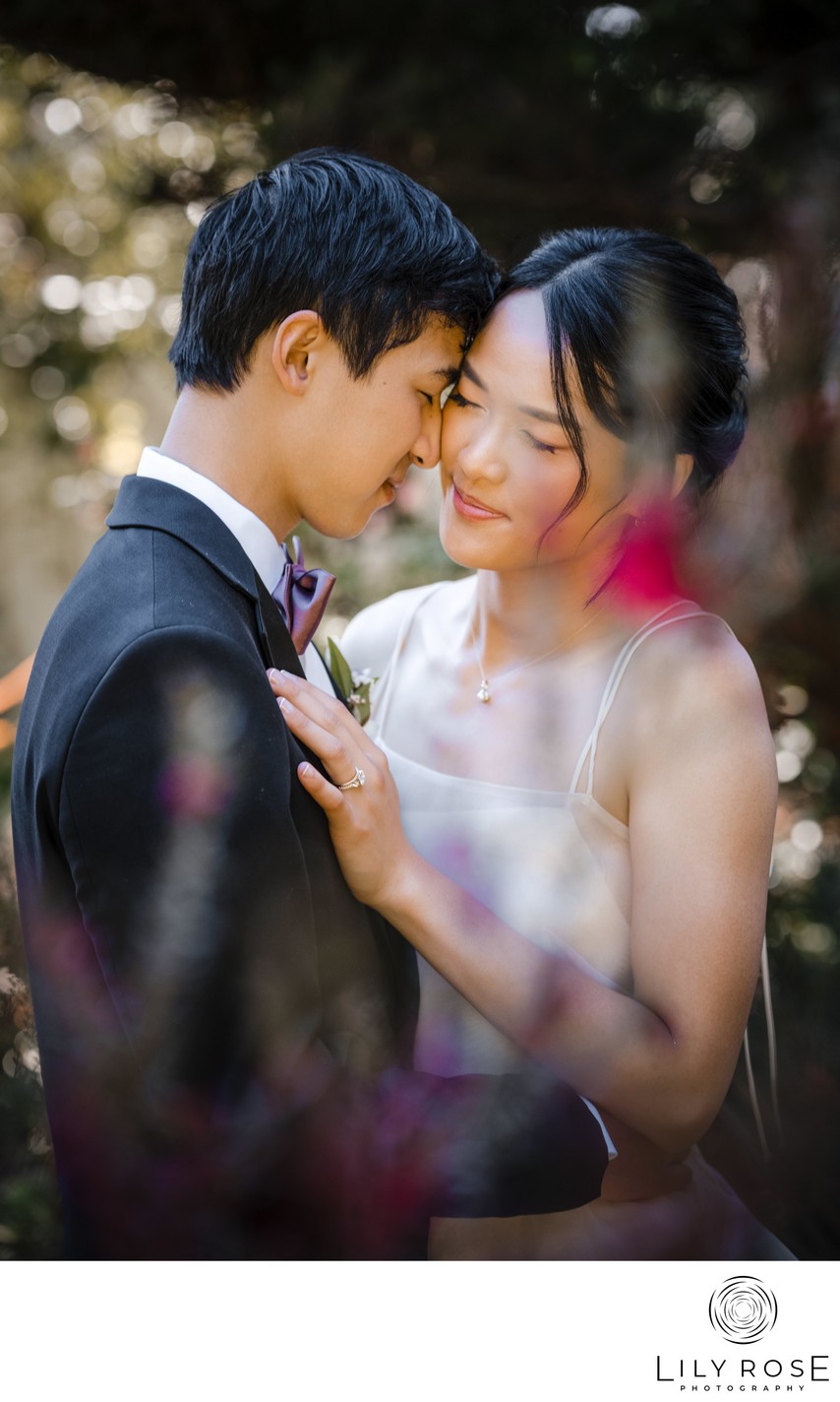 Wedding and Elopement Photographers Napa 