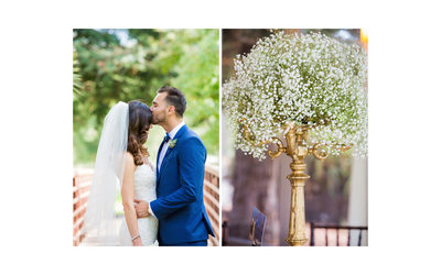 Bride and Groom Romantic Portraits Napa