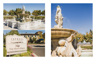 Sonoma Wedding Photographer Jacuzzi Family Winery
