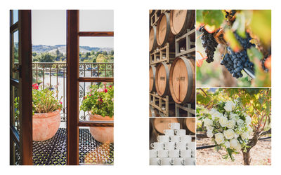 Wedding Photography Sonoma Valley California