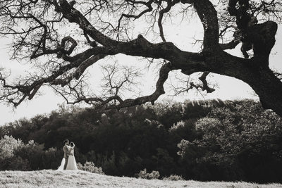 Romantic Sonoma Wedding Photographer