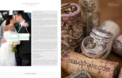 Sebastiani Vineyards & Winery Wedding Best Photography