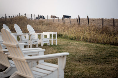 Scenic Carneros Resort Wedding Napa Photographer