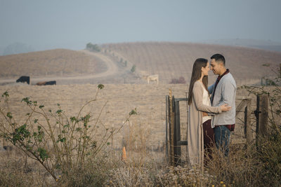 Beautiful Hillside Carneros Resort Napa Photographer