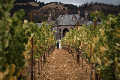 Ledson Winery Romantic Scenic Photography