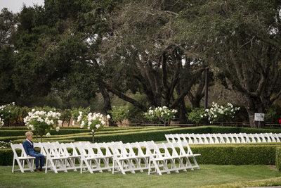Ring Bearing Waiting at Ledson Winery Ceremony Site