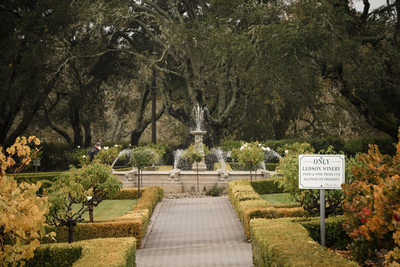 The Ledson Winery Fountain on a Wedding Day