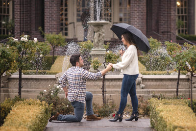 The Wedding Proposal at Ledson Winery