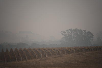 Smokey Hills Carneros Resort Spa Napa Photographers