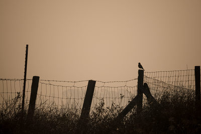 Photography at Carneros Resort and Spa Napa 
