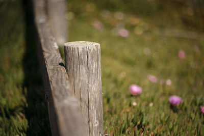 Point Reyes Wedding Photographers
