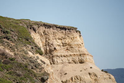 Beach Sir Frances Drake Sonoma Wedding Photographers