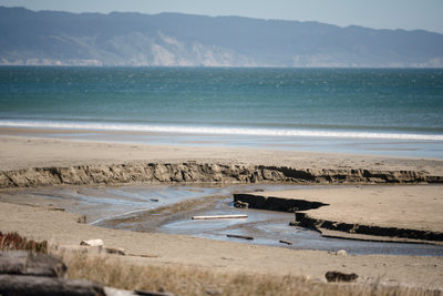 Point Reyes Sonoma Wedding Photographers Beach