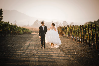 Natural light Sonoma Wedding Gloria Ferrer
