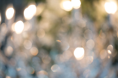 Harrow Cellars Details Sonoma Wedding Photographers