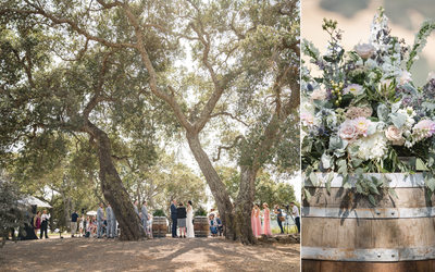 Mazel Tov Kunde Winery Wedding Sonoma Photographer