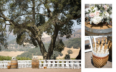 Ceremony Kunde Winery Wedding Sonoma Photographer