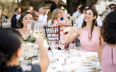 Sonoma Photographers Wedding Kunde Winery Toast