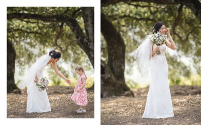 Sonoma Photographers Wedding Kunde Winery Bride