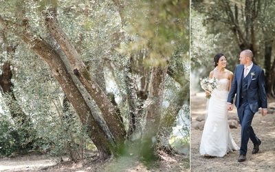 Sonoma Photographers Wedding Kunde Winery Olive Hill