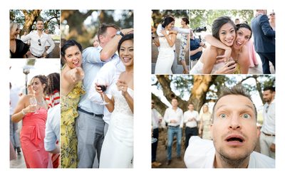 Guests Sonoma Photography Wedding Kunde Winery