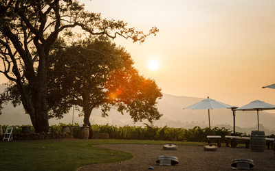 Kunde Family Winery Sonoma Photographer Wedding Sunset