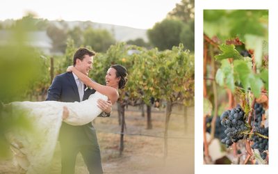 Cornerstone Sonoma Wedding Photographers Vineyard